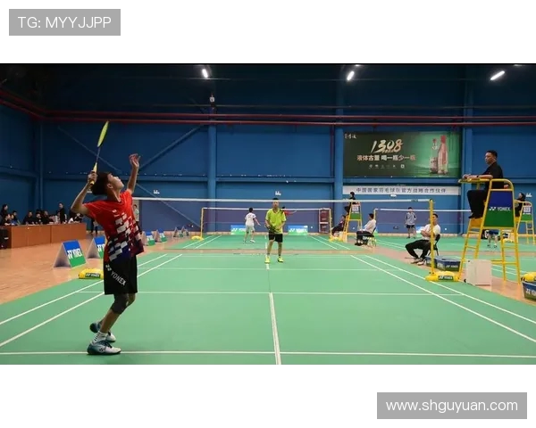 南京羽毛球队在精英赛中的状态分析与表现评估 南京羽毛球队在精英赛中的状态分析与表现评估