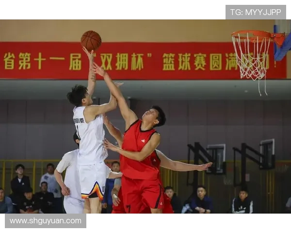 杭州篮球队荣登全国篮球技术排行榜第十名展现实力与潜力 杭州篮球队荣登全国篮球技术排行榜第十名展现实力与潜力