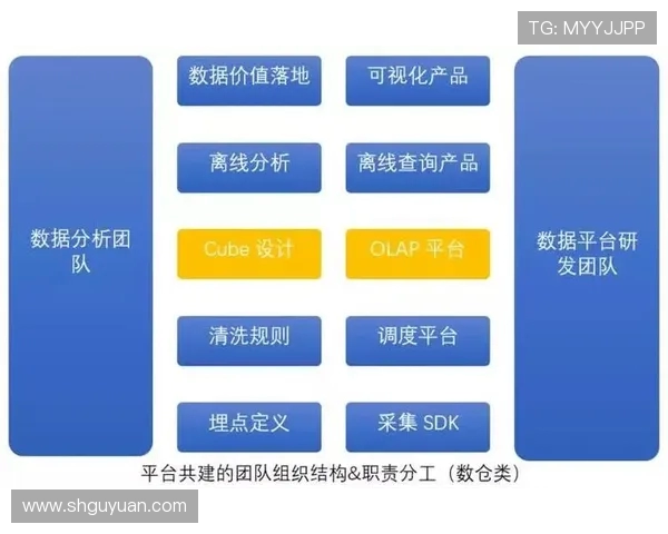 深入分析成都排球队反击战术的独特魅力与实战应用 深入分析成都排球队反击战术的独特魅力与实战应用