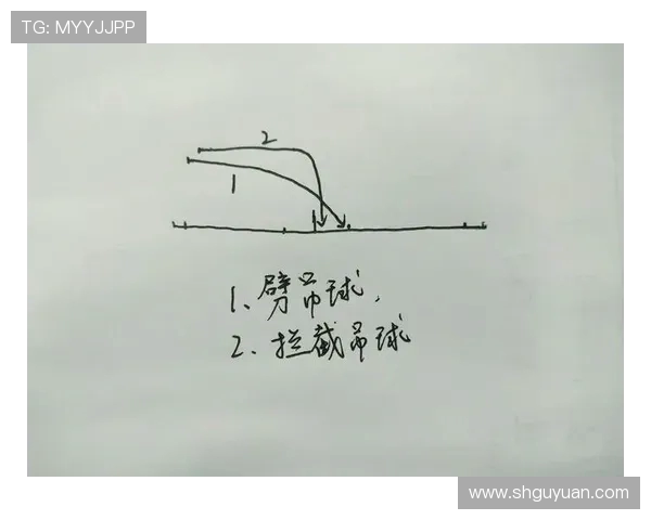 羽毛球新手必看：从零开始的全面入门与技巧提升指南