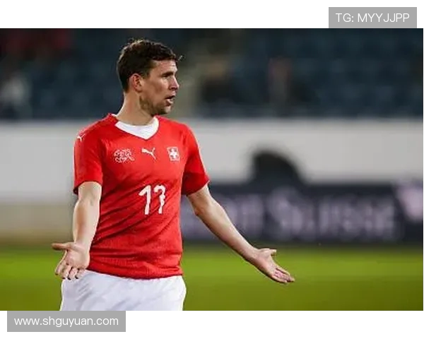 2019年格鲁吉亚对瑞士比赛分析与推荐策略详解